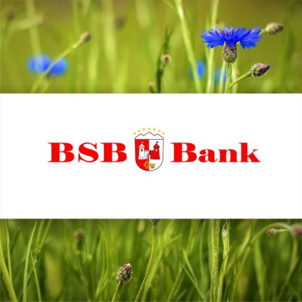 Банк БСБ, белорусский швейцарский банк, BSB, Belarus Swiss Bank, Russian cart, Belarus, Credit, Debit, Visa, MasterCard, выпуск карт для россиян, русских, в Беларуси, Беларусь, банки Беларуси, карты банковские для оплаты зарубежом, букинг, бронирование, аренда автомобиля, заказать банковскую карту, рабочая карта, виза, мастеркард