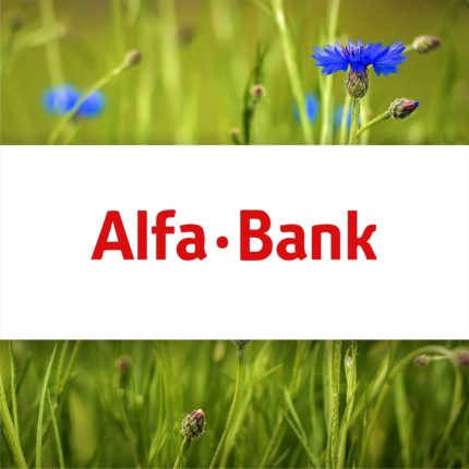 Альфа банк, alfa bank, Belarus, debit card, credit card, MasterCard, visa, банковская карта, кредитная карта, дебетовая карта, виза, мир белкарт премиум, мастеркард, карты Белауси