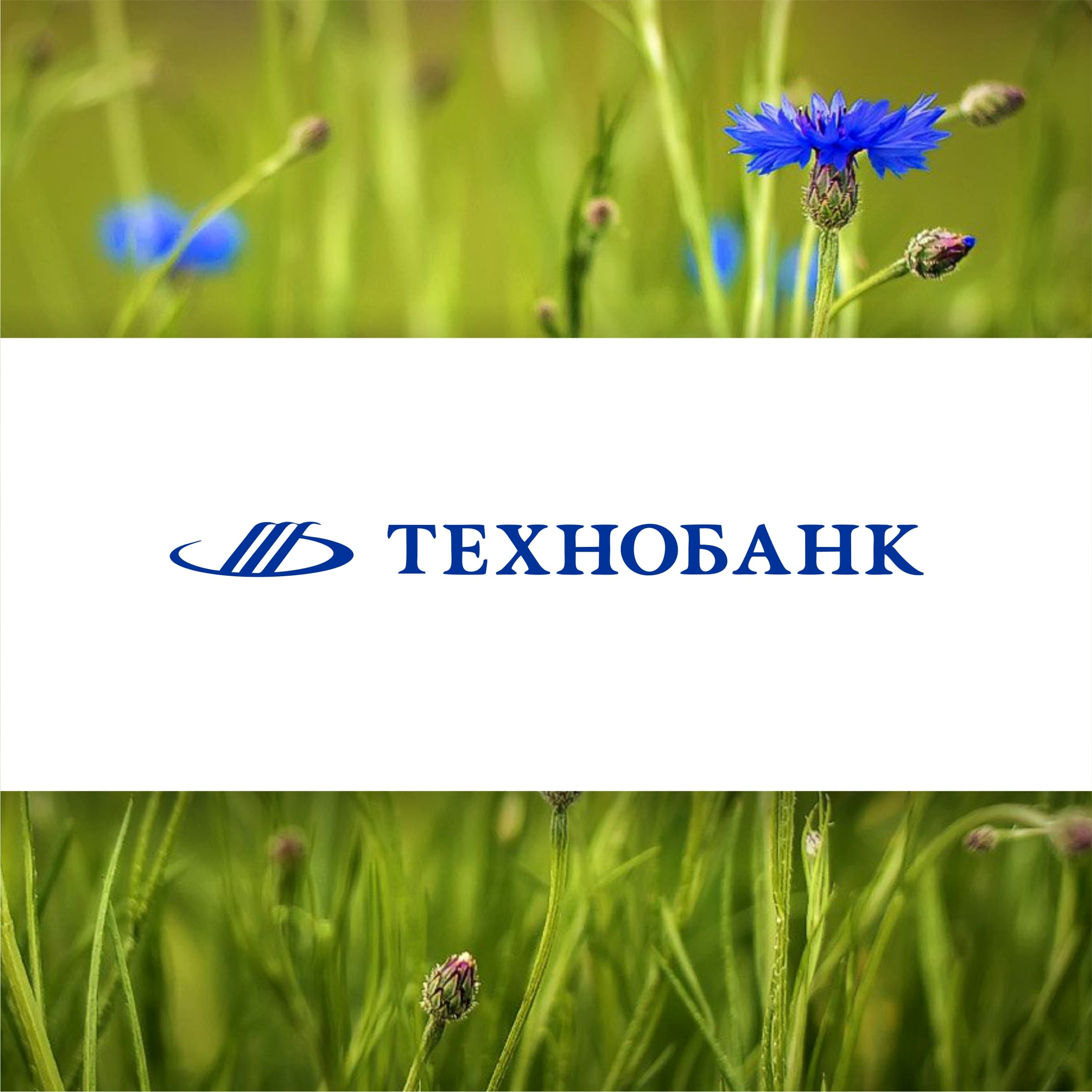Технобанк